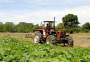 Fedeagro pidió fijar precios mínimos de sustentación en el campo