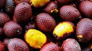 La fruta exótica que solo crece en el Amazonas y mejora la salud de la piel