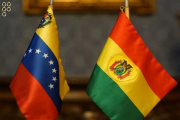 Venezuela y Bolivia mantienen cooperación petrolera entre otros proyectos