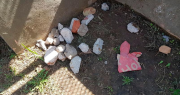 Una patota destrozó una casa a pedradas y robó en venganza contra un joven de Rivadavia