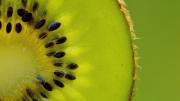 Paso a paso: cómo germinar semillas de kiwi en casa y obtener plantas hermosas