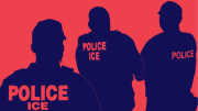 Director del ICE contradice premisa de la agencia: ni el 10% de los arrestados en Los Ángeles son delincuentes