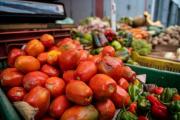 Fedeagro pide fijar “precios mínimos de sustentación” para hortalizas – Correo del Caroní