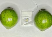 Karpolax, una bolsa que extiende la vida útil de las frutas