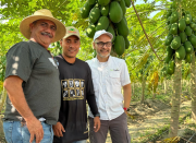 La app Agrocognitive quiere salvaguardar la siembra venezolana a través de la tecnología