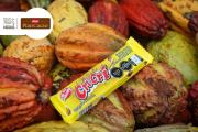 Detrás de cada cuadrito están más de 3 mil productores beneficiados por el Plan Cacao Nestlé – Correo del Caroní