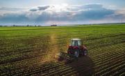 El campo sostuvo a la producción bonaerense en un período de caída