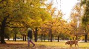 Pronóstico del tiempo en Mendoza para toda la semana: este domingo estará nublado y frío