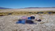 Un ciudadano venezolano muere al intentar cruzar la frontera entre Bolivia y Chile