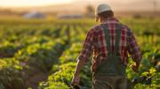 Empleo en Nebraska: ofrecen visa y atractivo salario por hora a trabajadores agrícolas