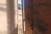 Robaron una escopeta de una vivienda en Río Hondo y dejaron huellas en el lugar