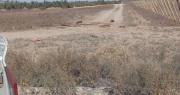 Encuentran dos caballos faenados en un terreno de Angaco