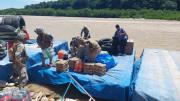 Quién efectúa el control de alimentos sujetos a protección específica en las fronteras y combate el contrabando de exportación