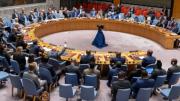 Pakistán, Rusia y China presentan una resolución al Consejo de Seguridad para un alto el fuego inmediato