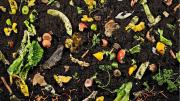 Todos estos residuos de comida sirven para hacer compost casero y fortalecer tus plantas