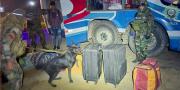 Can antidrogas frustra traslado de cocaína en bus interdepartamental en la ruta Cochabamba – Oruro