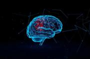 Tu cerebro “ve” el futuro medio segundo antes de que ocurra (y ni lo notas)