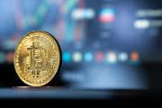 Falta de educación digital deja a Bolivia vulnerable ante estafas con IA y criptomonedas