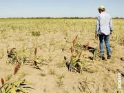 El campo, en alerta con los cambios que quiere hacer el Gobierno en el INTA