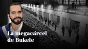 Críticas al régimen de Bukele: La Corte de El Salvador admitió un recurso a favor de la defensora de derechos humanos detenida