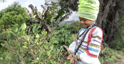 Psico-Conecta: la alianza que lleva salud mental a mujeres afrobolivianas en Yungas