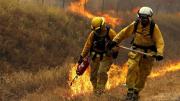 Contrastarán datos con la NASA: Activan plan de prevención de incendios con Sistema de Monitoreo de Bosques