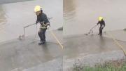 EN VIDEO: Un perrito estaba ahogándose en un río en México y así fue el riesgoso rescate
