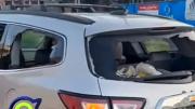 EN VIDEO: La brutal agresión contra un venezolano campeón de boxeo en EEUU, le destrozaron las ventanas de su carro