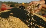 Argentina debate los desafíos del reglamento europeo sobre productos libres de deforestación