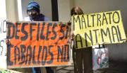 Protestaron por la muerte de Chuequito y denunciaron maltrato animal en desfiles y jineteadas: “Fue una muerte anunciada”