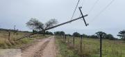 CRE atendió más de 500 fallas eléctricas causadas por el viento