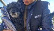 Rescatan a un perrito raptado