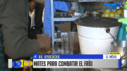 Incrementan las infecciones respiratorias y crece la demanda de remedios naturales en Cochabamba