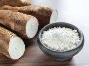 Planta Procesadora de Almidón y Harina de Yuca tiene un 78% de avance y generará 140 empleos directos en Santa Cruz