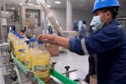 Industria estatal es una iniciativa para reducir la dependencia de un “oligopolio” en producción de subproductos de soya