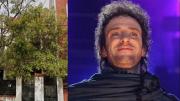 Impactante: las primeras fotos de los restos humanos en la casa donde vivió Gustavo Cerati