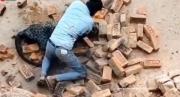 Pelear o morir: El impactante video de un hombre luchando contra un leopardo que entró a una aldea en India