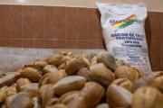 Defensa del Consumidor recibe denuncias contra panificadores por almacenar harina subvencionada para revender o sacar al contrabando