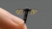 ¡China revoluciona el espionaje! Nuevo dron con forma de mosquito para misiones de reconocimiento: así funciona