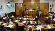 Unánime apoyo para la creación del Consejo de Seguridad en Lomas