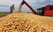 Desde el campo alertan sobre la suba de retenciones