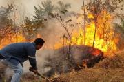 La senadora Egüez solicita medidas para prevenir incendios forestales