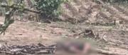 Hallan dos cuerpos sin vida en Shinahota; uno estaba colgado de una viga y el otro tenía rastros de quemaduras