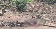 Hallan dos cuerpos sin vida en Shinahota; uno estaba colgado de una viga y el otro tenía rastros de quemaduras