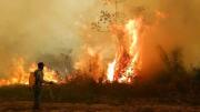 Se activa el plan contra incendios forestales e identifican 84 municipios con riesgo de quemas