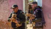 Zoonosis rescata 40 canes de un criadero clandestino y los dará en adopción