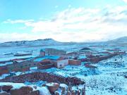 Nevadas cubren cinco municipios del sudoeste potosino y heladas afectan a un centenar de familias