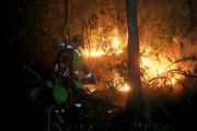 Candidatos proponen reforestación y sanciones tras el peor año de incendios forestales en el país