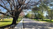 ¿Cómo estará el tiempo el fin de semana en Tucumán?
