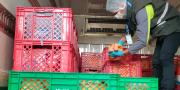 Comisan camiones que trasladaban carne de pollo y maíz hacia Perú
